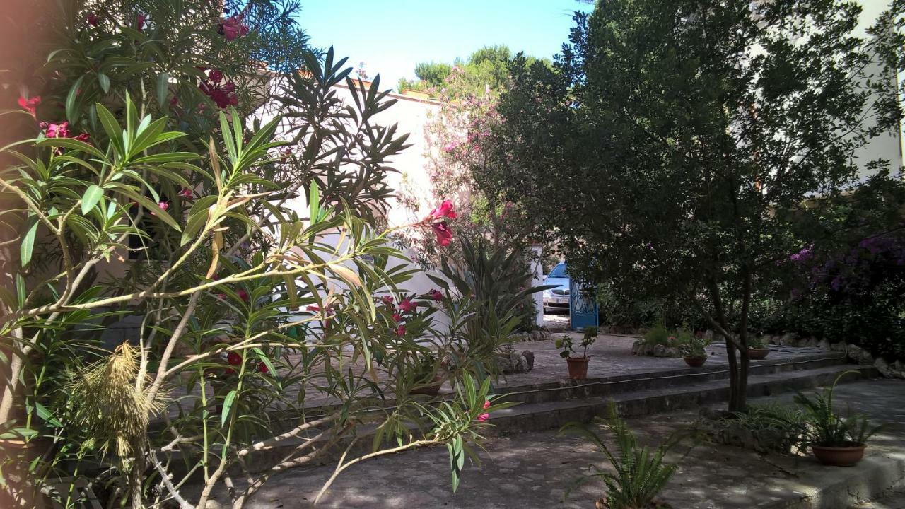 B&B Villa Il Carrubo San Vito Lo Capo Eksteriør billede