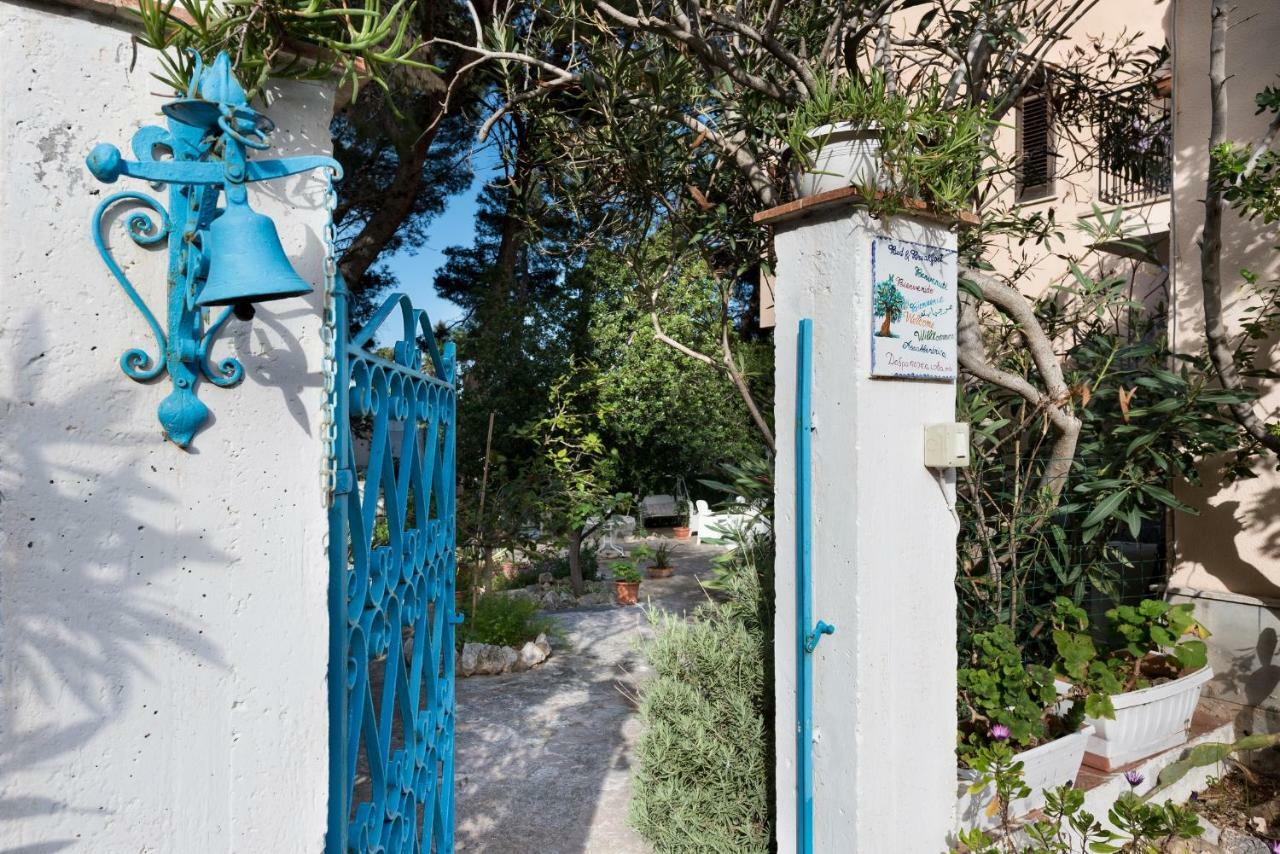 B&B Villa Il Carrubo San Vito Lo Capo Eksteriør billede
