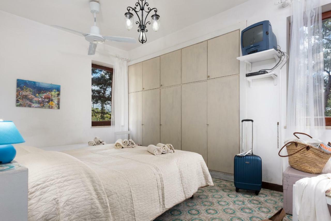 B&B Villa Il Carrubo San Vito Lo Capo Eksteriør billede