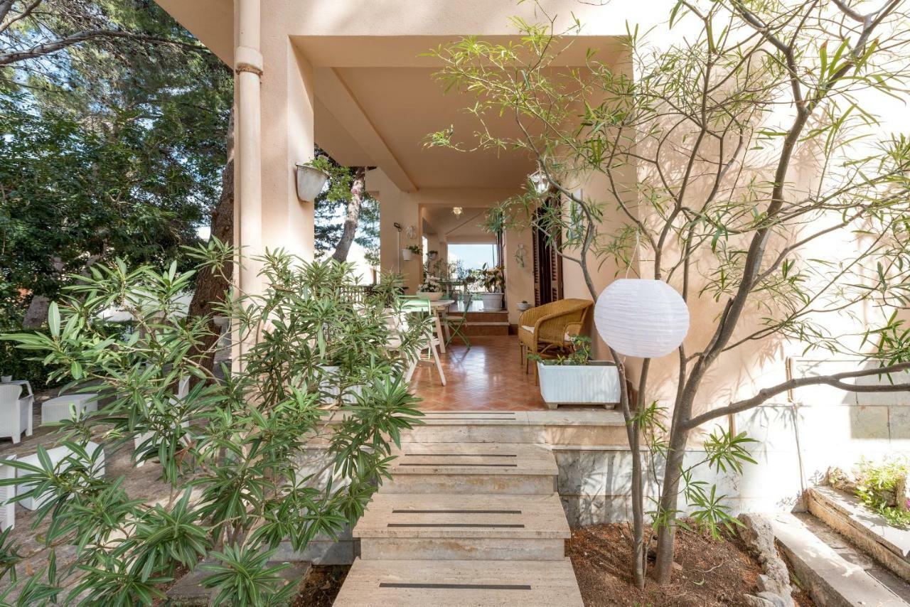 B&B Villa Il Carrubo San Vito Lo Capo Eksteriør billede